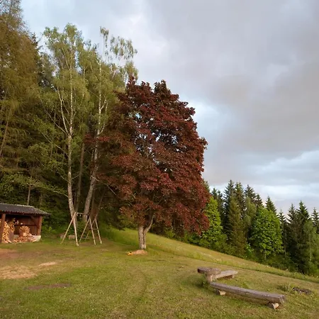 Ferienhaus Weissegger Lavamund